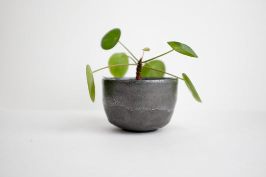 Small Bowl